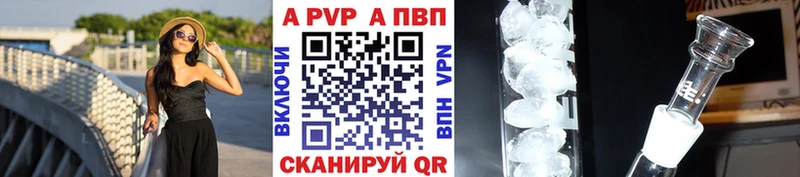 A PVP СК  Жиздра 