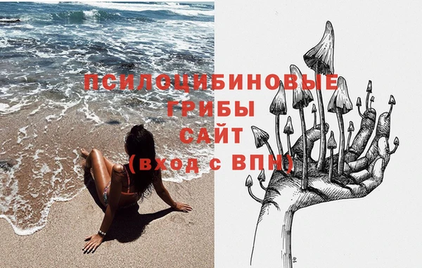 дмт Алексин