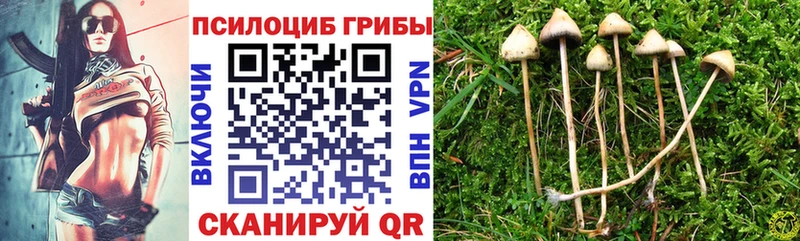 Галлюциногенные грибы мицелий Жиздра