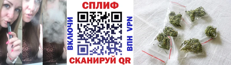 мега ссылка  купить наркотик  Жиздра  Конопля SATIVA & INDICA 